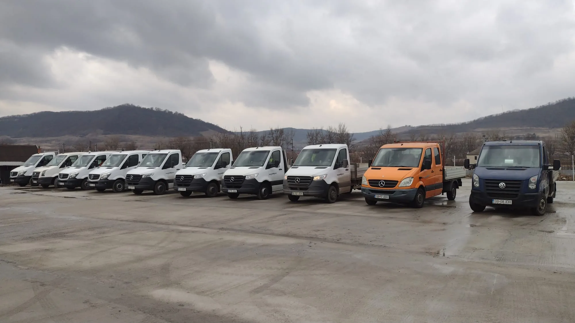 distributie de monumente funerare